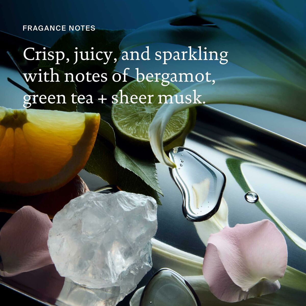 Fragrance notes featuring bergamot, green tea, sheer musk, and crystal ice with colorful citrus slices.