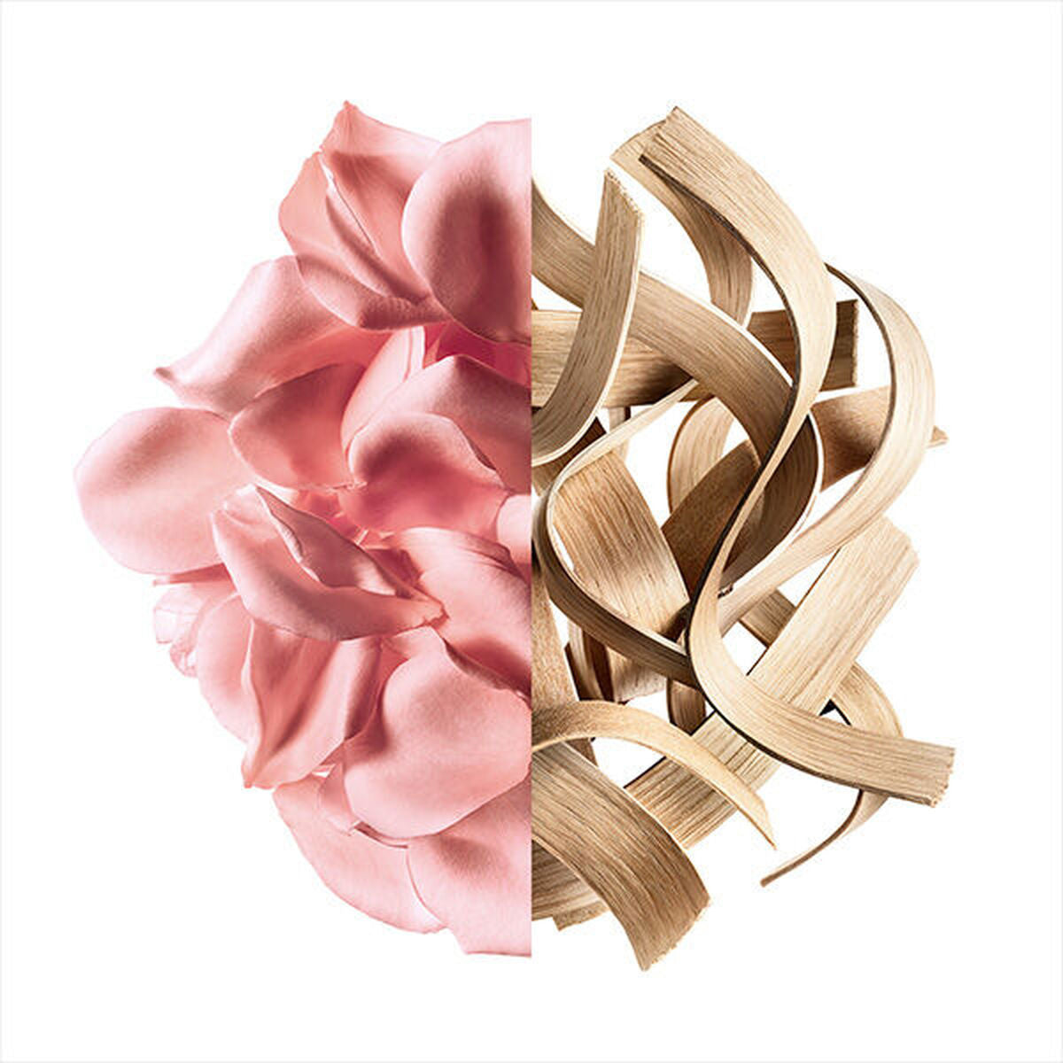 Elegant pink rose petals and soft woody curls representing Givenchy Irrésistible Rose Velvet fragrance.