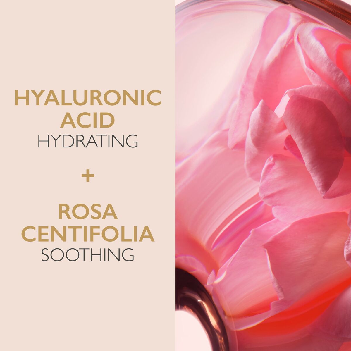 Hyaluronic Acid and Rosa Centifolia combination promoting hydration and soothing for skincare products.