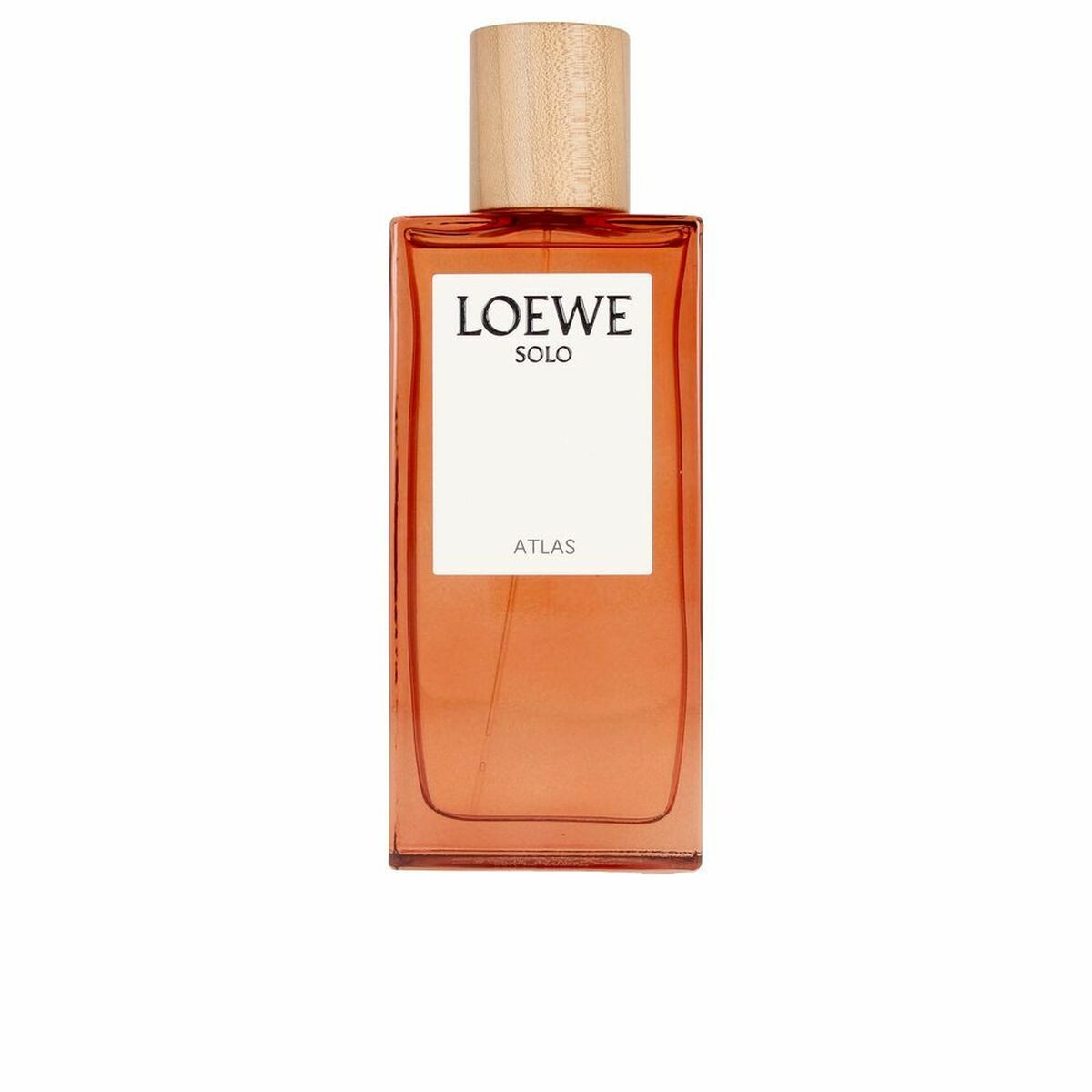 Parfum Homme Loewe Solo Atlas EDP EDP 100 ml (100 ml)